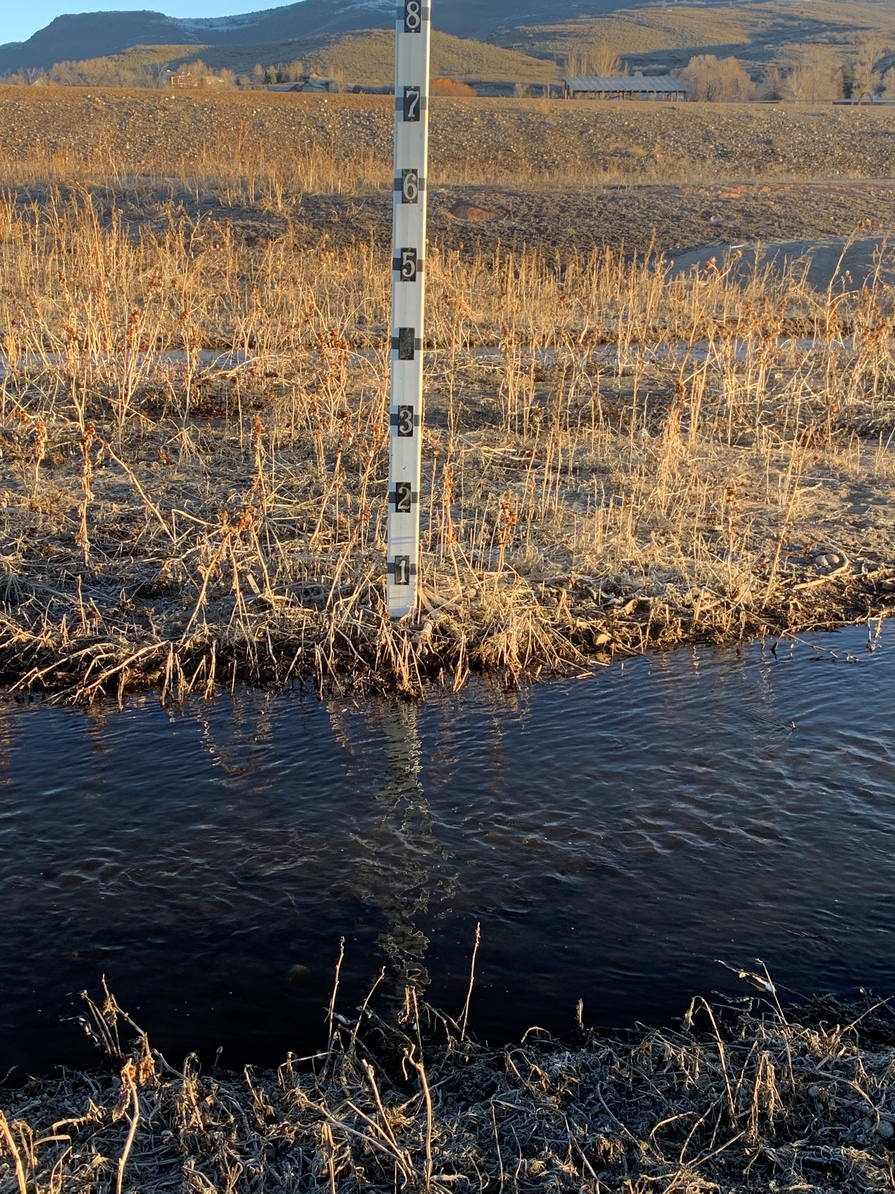 Measuring stick in standing water to show water level.